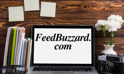 FeedBuzzard.com: Your Gateway to Social Content and Personalized News